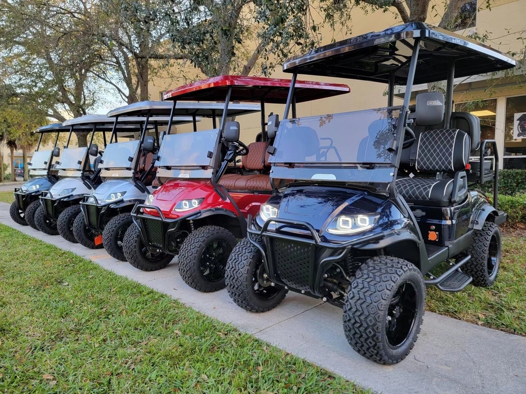 EV2+2 de elektro Klantgerichte Upgradeable Auto Hoog Beëindigen van het Kleuren HOOGSTE Golf