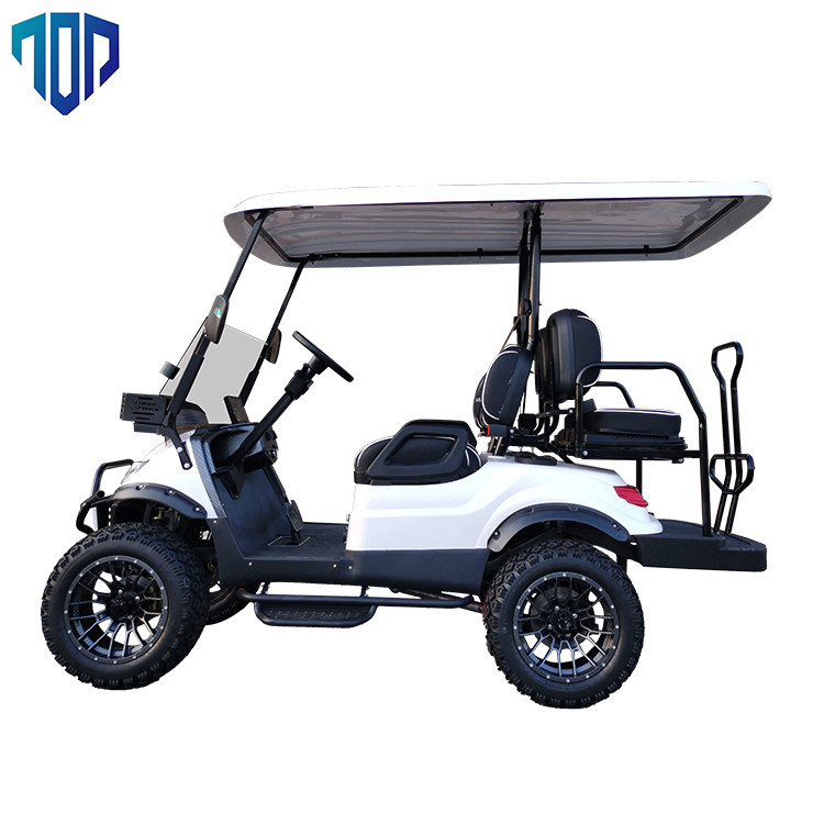 EV2+2 de elektro Klantgerichte Upgradeable Auto Hoog Beëindigen van het Kleuren HOOGSTE Golf