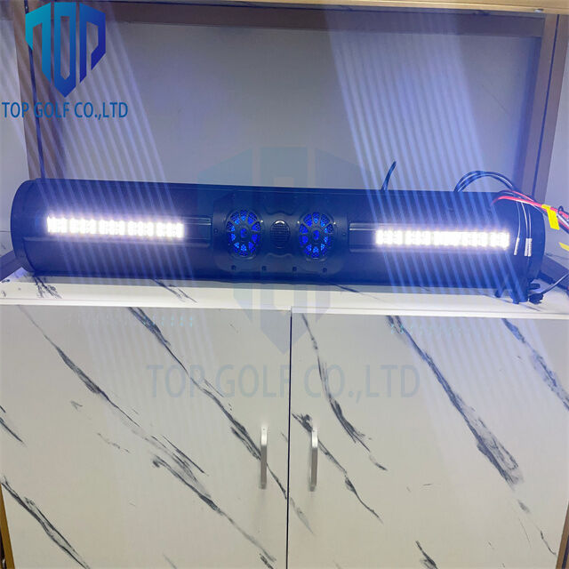 Hot Sale Audio Quality en een Strakke Look Golfkar 18